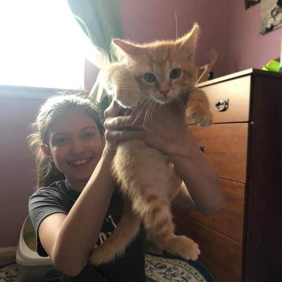 Meet your Posher, Allanna - Picture 1 of 1